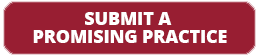 Submit a promising practice